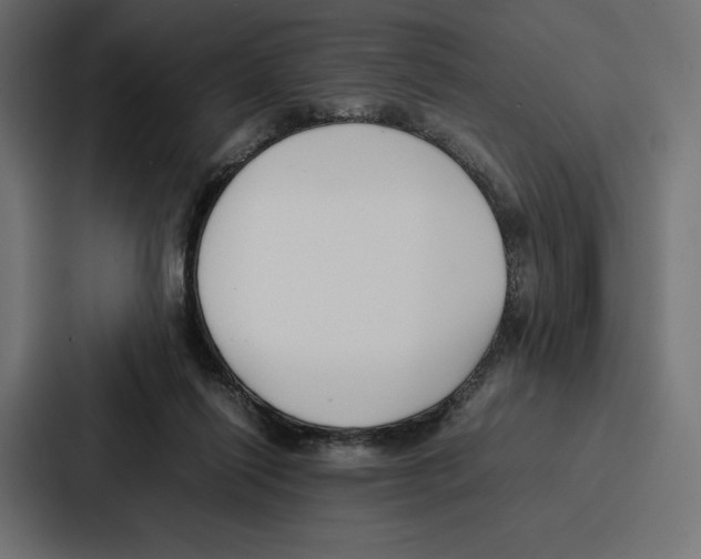 X0000086790262200705111821