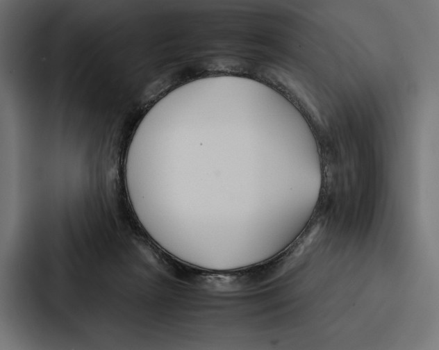 X0000086790265200705111821