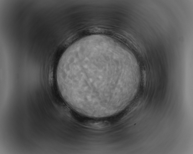 X0000086790267200705111821