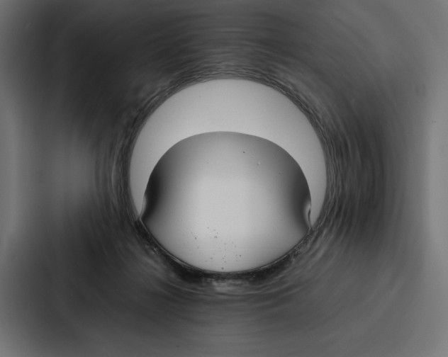 X0000086790268200705111821