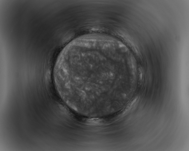 X0000086790269200705111821