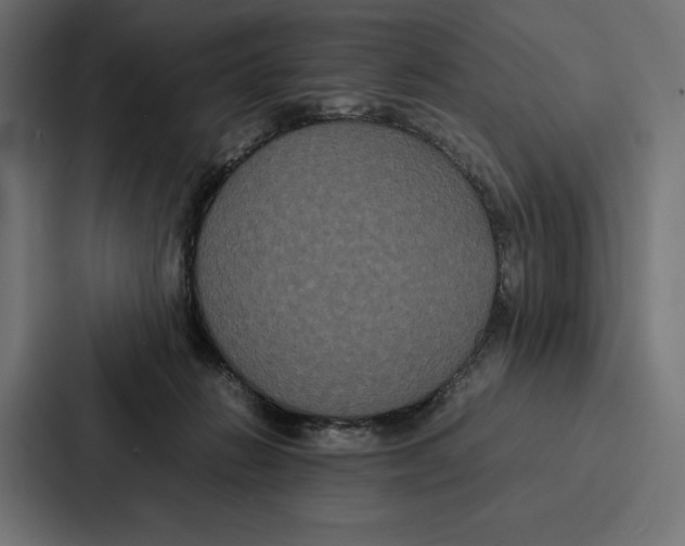 X0000086790270200705111821