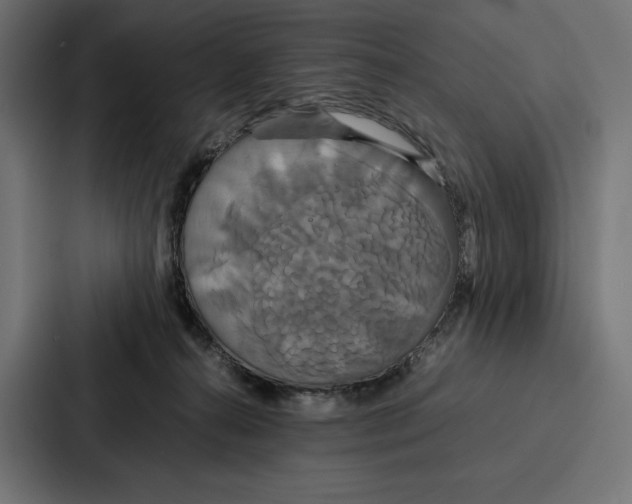 X0000086790272200705111821