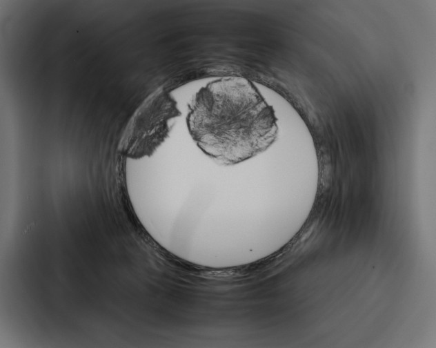 X0000086790273200705111821