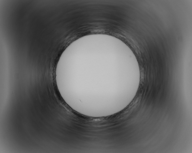 X0000086790277200705111821