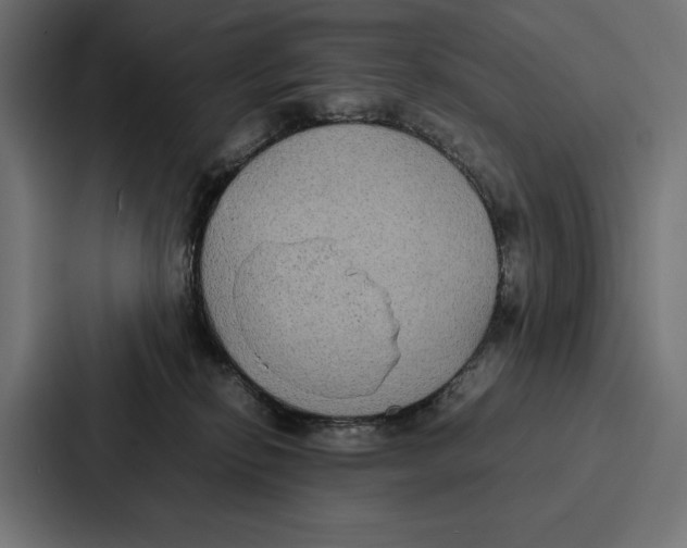 X0000086790278200705111821