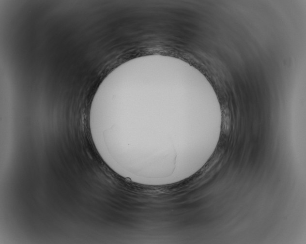 X0000086790279200705111821