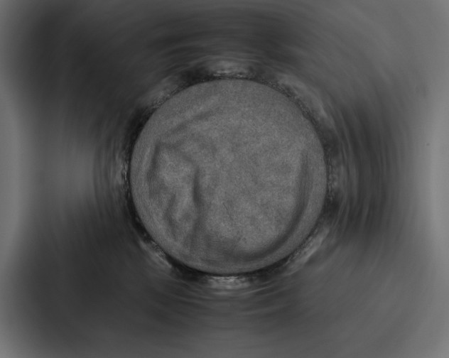 X0000086790281200705111821