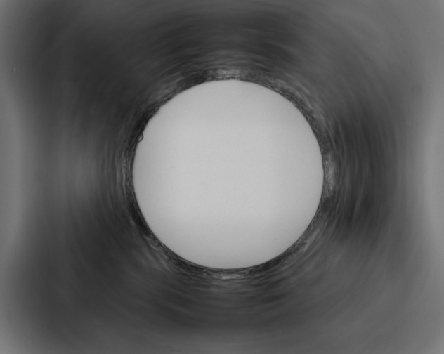 X0000086790283200705111821