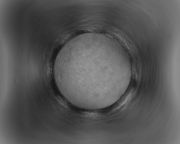 X0000086790284200705111821