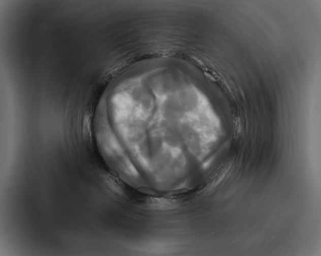 X0000086790286200705111821