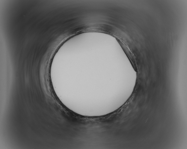 X0000086790289200705111821