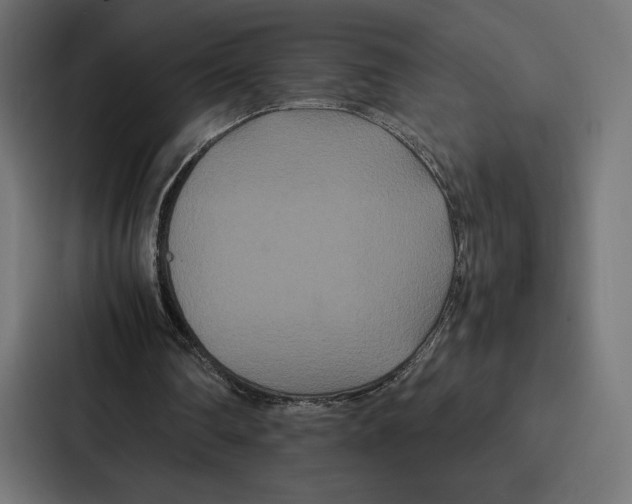 X0000086790290200705111821