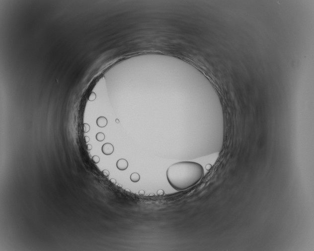 X0000086790291200705111821