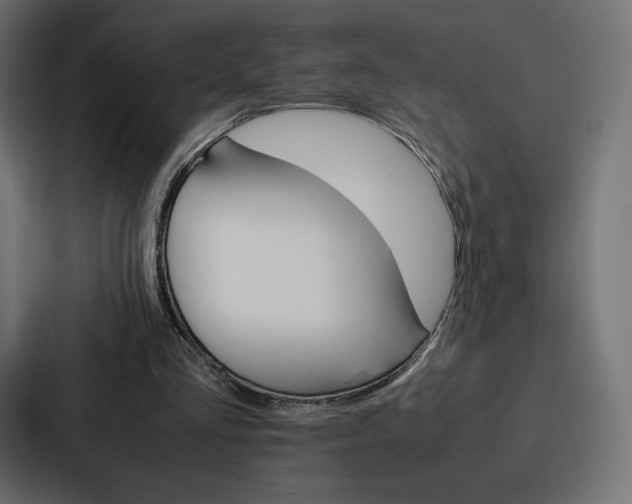 X0000086790293200705111821