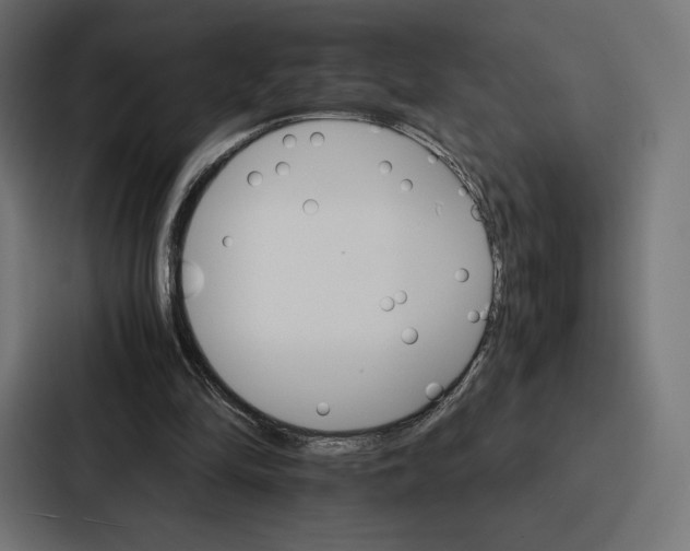 X0000086790294200705111821