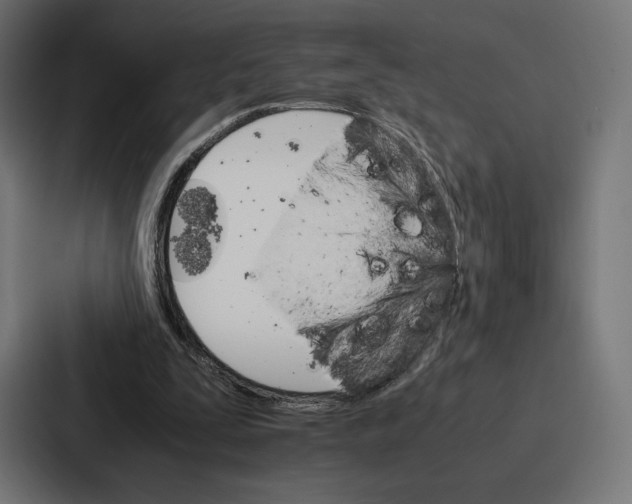 X0000086790295200705111821