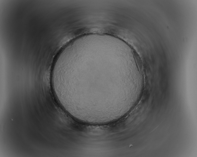 X0000086790297200705111821