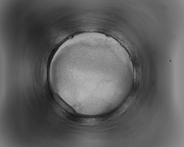 X0000086790301200705111821