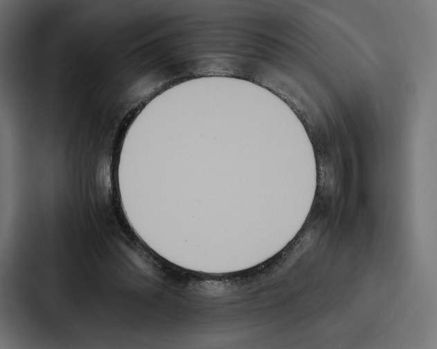 X0000086790302200705111820