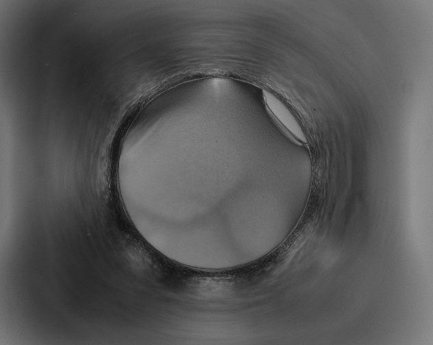 X0000086790303200705111820