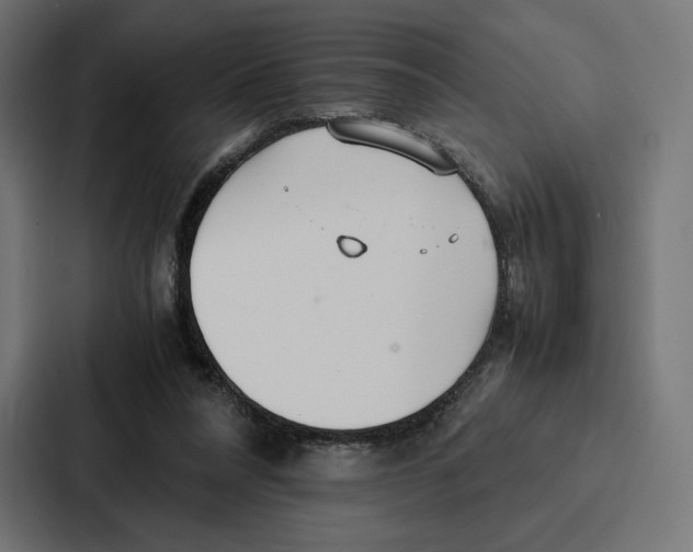 X0000086790304200705111820