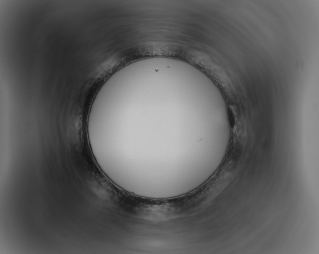 X0000086790306200705111820