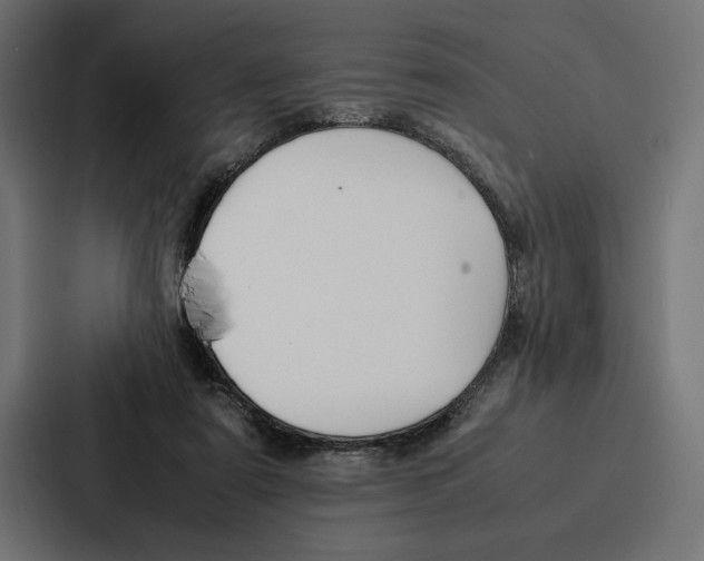 X0000086790307200705111820