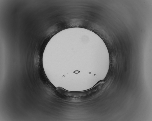 X0000086790308200705111820