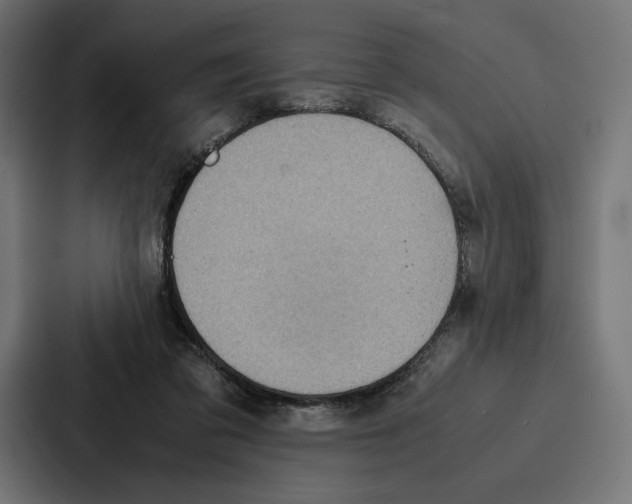 X0000086790309200705111820