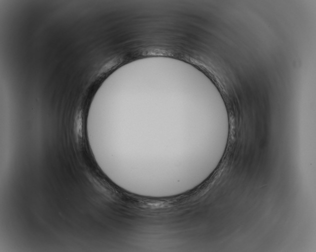 X0000086790310200705111820