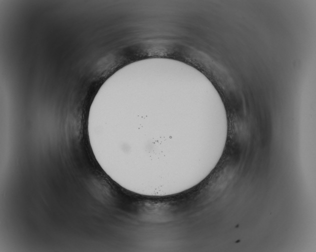 X0000086790311200705111820