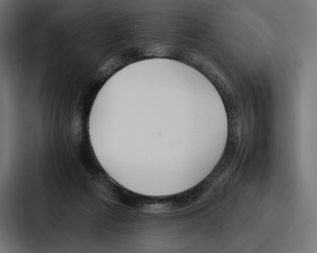 X0000086790312200705111820