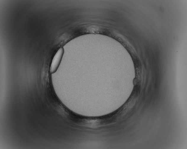 X0000086790313200705111820