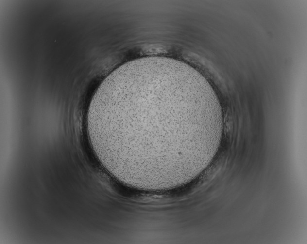 X0000086790315200705111820