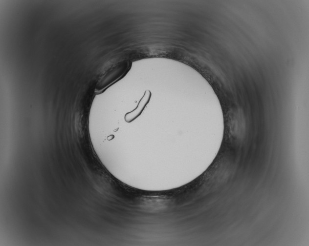 X0000086790316200705111820