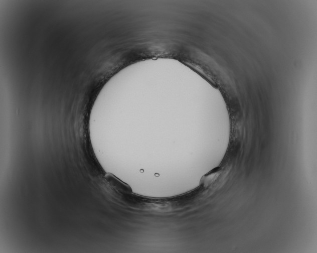 X0000086790317200705111820