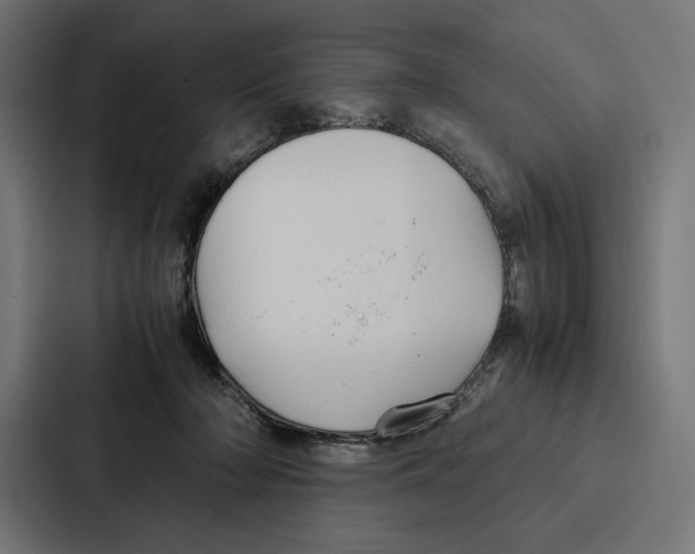 X0000086790318200705111820