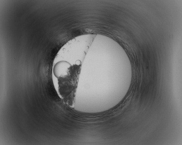 X0000086790319200705111820