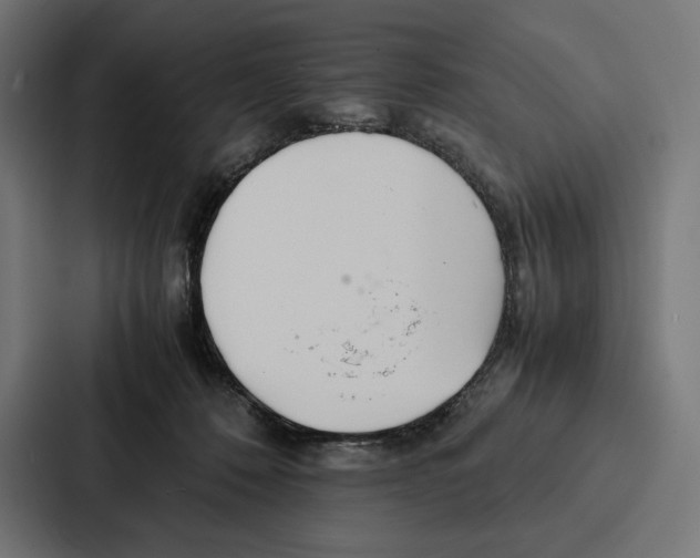 X0000086790320200705111820