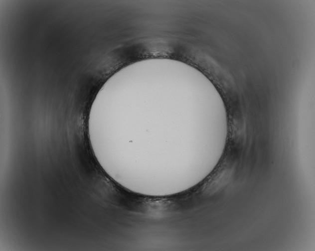 X0000086790321200705111820