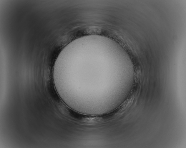 X0000086790323200705111820