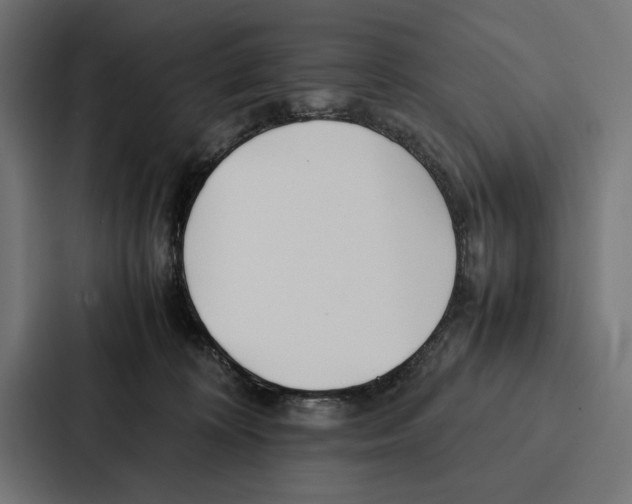 X0000086790324200705111820