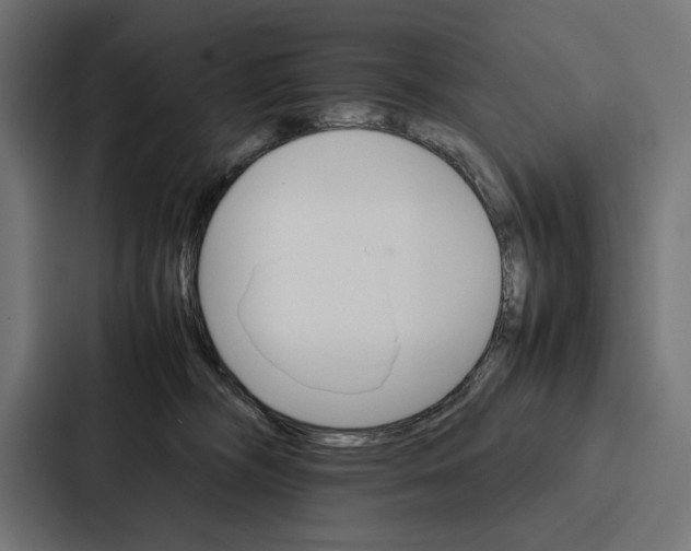 X0000086790326200705111820