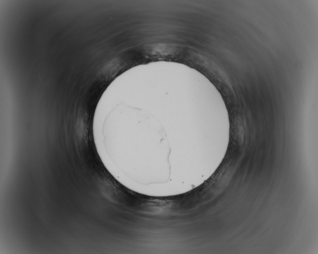 X0000086790328200705111820