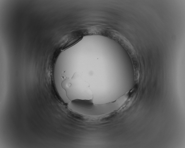 X0000086790329200705111820