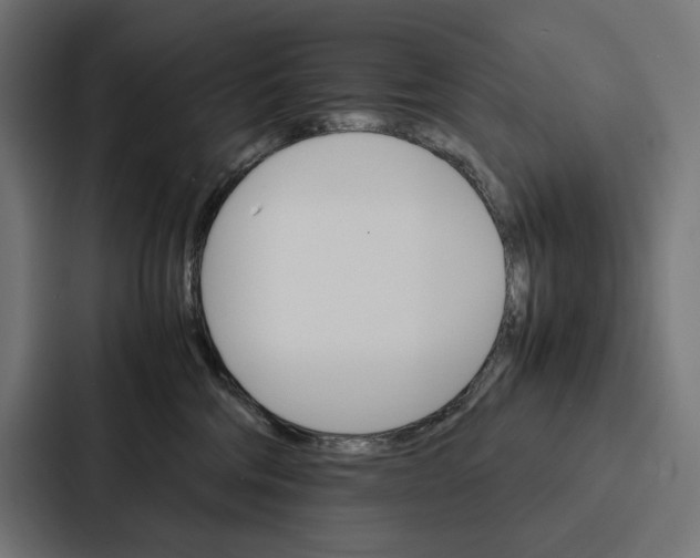 X0000086790330200705111820