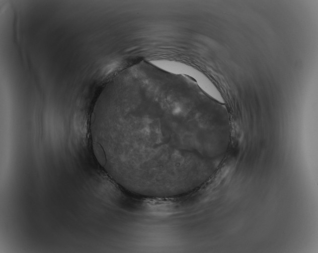 X0000086790331200705111820