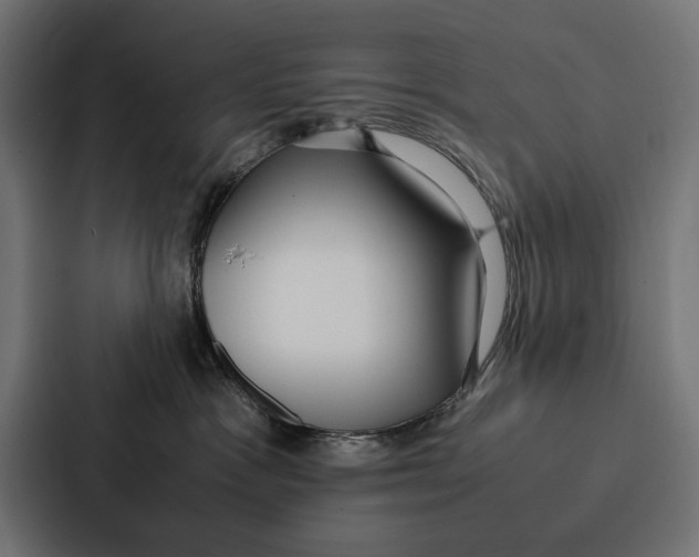 X0000086790333200705111820