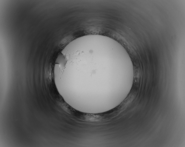 X0000086790334200705111820